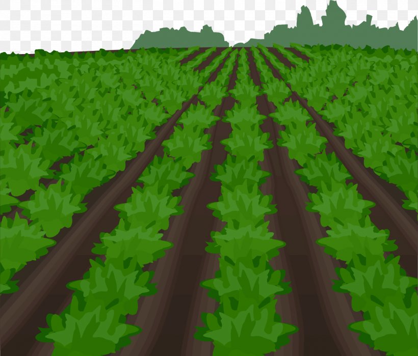 Euclidean Vector Vector Field Illustration, PNG, 1461x1246px, Vector Field, Agriculture, Arable Land, Biome, Crop Download Free