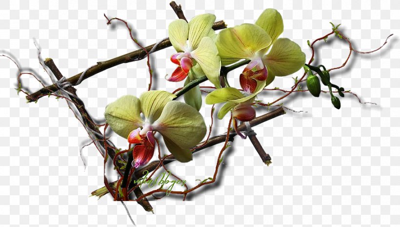 Floral Design Cut Flowers Artificial Flower, PNG, 907x515px, Floral Design, Artificial Flower, Blossom, Blume, Branch Download Free