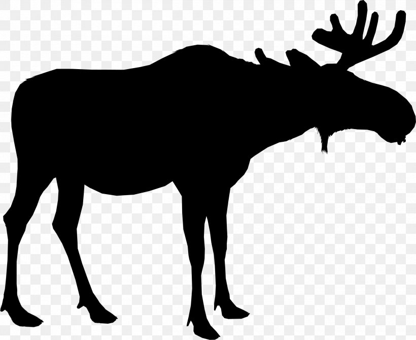 Moose Silhouette Deer Vector Graphics, PNG, 2500x2041px, Moose, Antler, Blackandwhite, Deer, Drawing Download Free