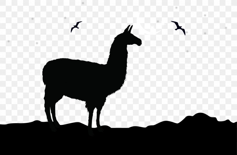 Alpaca Llama Logo Clip Art, PNG, 2917x1907px, Alpaca, Black And White, Camel Like Mammal, Color, Drawing Download Free