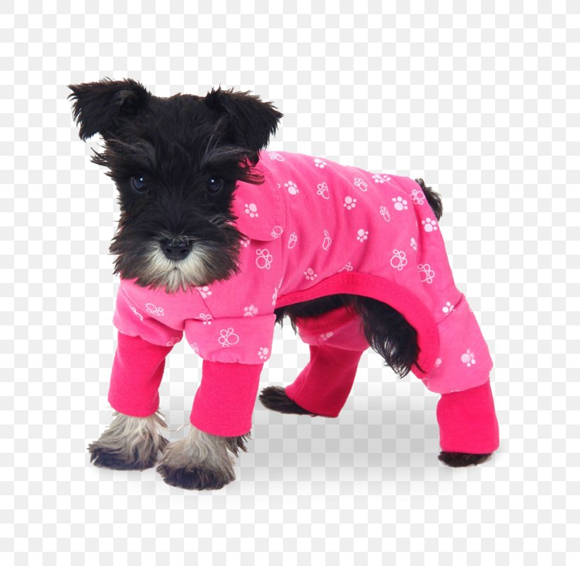 Dog Puppy Pajamas Clothing T-shirt, PNG, 800x800px, Dog, Boutique, Carnivoran, Clothing, Clothing Accessories Download Free
