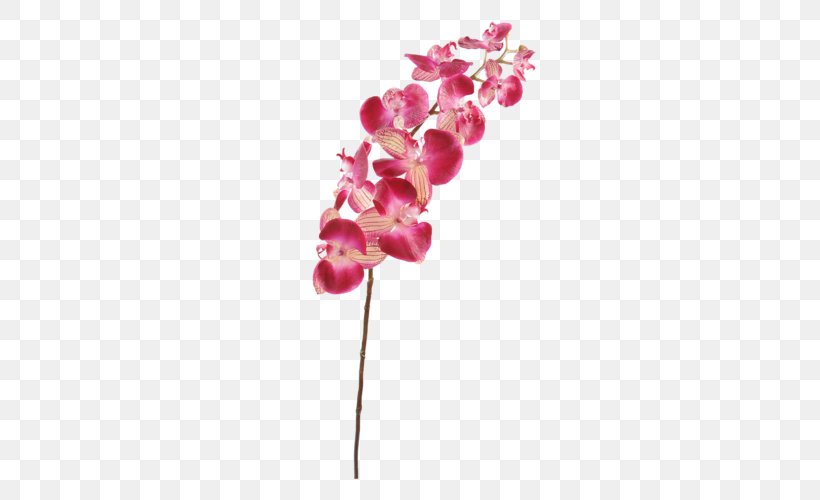 Moth Orchids Plant Stem Cut Flowers, PNG, 333x500px, Moth Orchids, Artificial Flower, Blossom, Boat Orchid, Branch Download Free