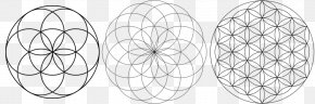 Symbol - Sacred Geometry Overlapping Circles Grid Symbol PNG