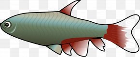 Fish - Tropical Fish Clip Art PNG