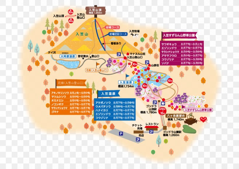 Appi Kogen Ski Resort Map Ski Area, PNG, 842x595px, Map, Diagram, Iwate Prefecture, Japan, Learning Download Free