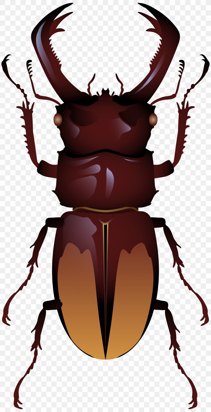 Stag Beetle Clip Art, PNG, 4105x8000px, Beetle, Arthropod, Dung Beetle, Dynastinae, Fictional Character Download Free
