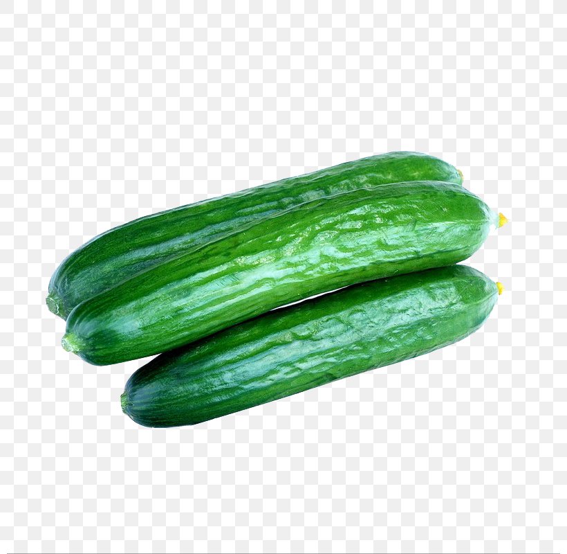 Cucumber China Chinese Cuisine Vegetable Mandarin Chinese, PNG, 800x800px, Cucumber, Bitter Melon, China, Chinese, Chinese Cuisine Download Free