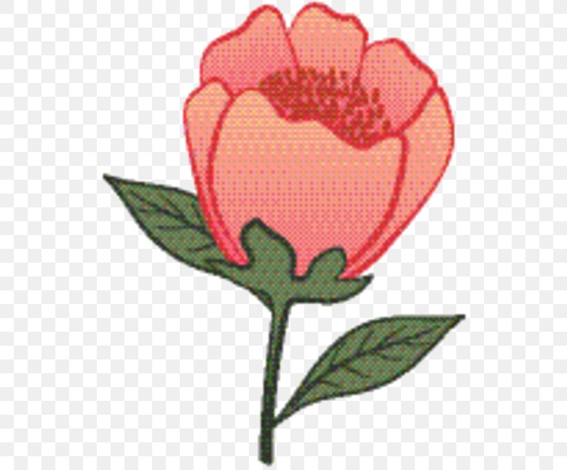 Pink Flower Cartoon, PNG, 543x680px, Garden Roses, Bud, Creativity, Cut Flowers, Flower Download Free