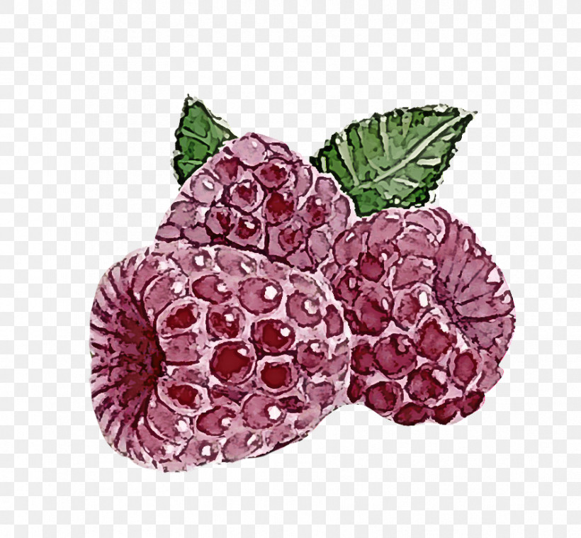 Raspberry Berry Blackberry Plant Loganberry, PNG, 888x823px, Raspberry, Berry, Blackberry, Food, Fruit Download Free