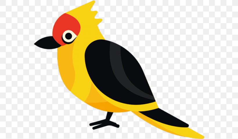 Robin Bird, PNG, 593x481px, Bird, Beak, Cartoon, Drawing, European Robin Download Free