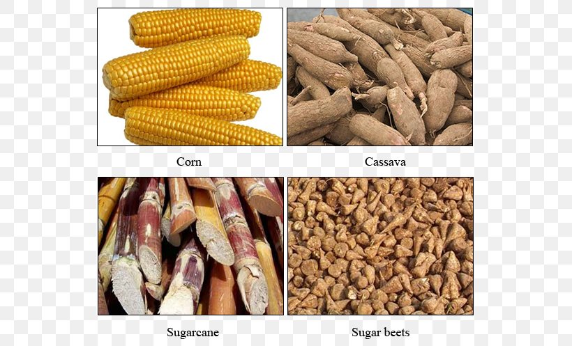 Second-generation Biofuels Raw Material Lignocellulosic Biomass Bioenergy, PNG, 562x497px, Biofuel, Agricultural Land, Agriculture, Biodiesel, Bioenergy Download Free