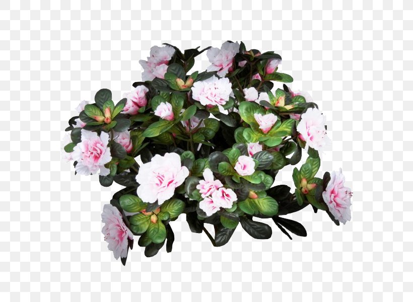 Azalea Flowerpot Houseplant Pink M Annual Plant, PNG, 600x600px, Azalea, Annual Plant, Flower, Flowering Plant, Flowerpot Download Free