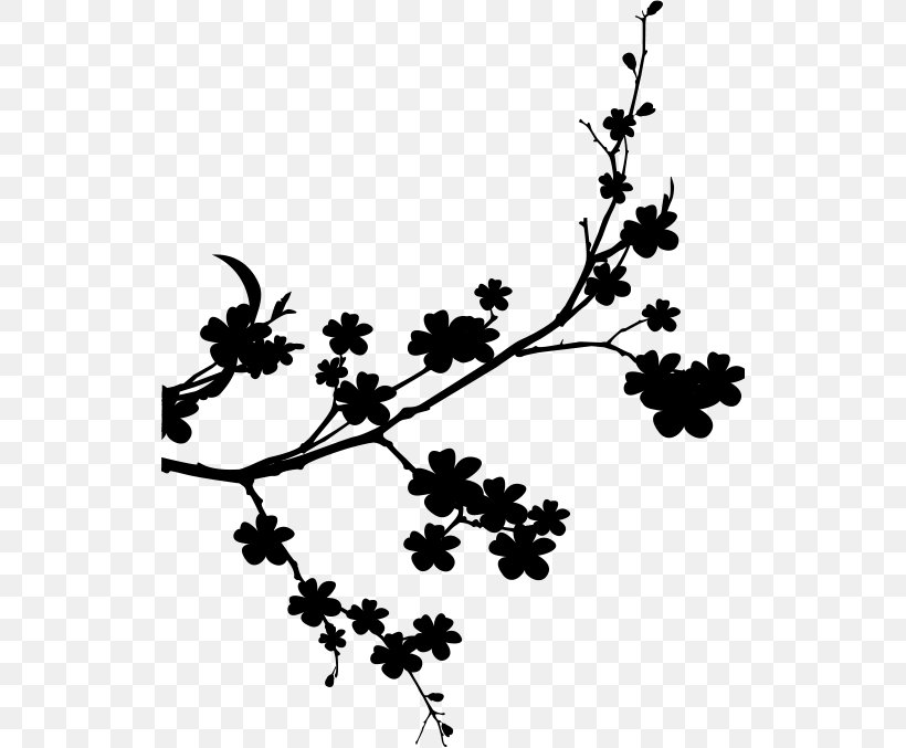 Grape Plant Stem Black & White, PNG, 528x677px, Grape, Black White M, Blackandwhite, Blossom, Branch Download Free