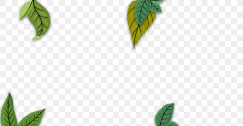 Leaf Calluna Flavor Shrub Herb, PNG, 2000x1043px, Leaf, Calluna, English, Flavor, Grass Download Free