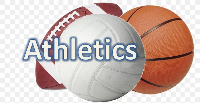Medicine Balls Sports Volleyball, PNG, 1155x598px, Ball, Brand, Football, Medicine, Medicine Ball Download Free
