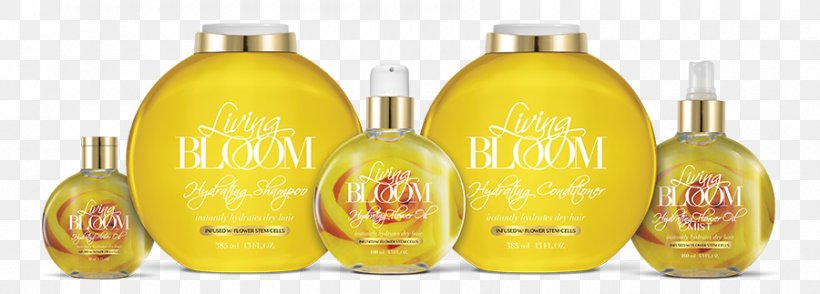 Oil Common Sunflower Hair Care Shampoo, PNG, 900x323px, Oil, Amaryllis, Bottle, Common Sunflower, Daffodil Download Free