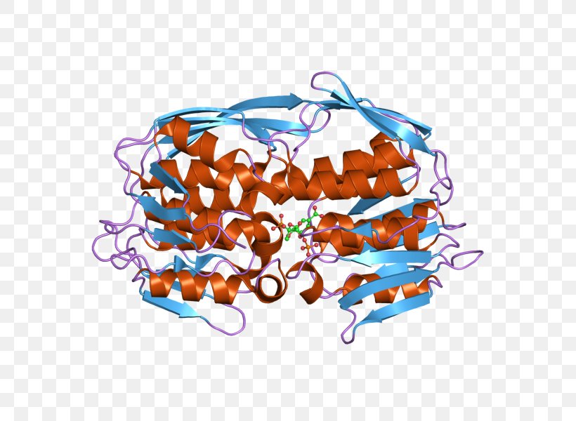 EPSP Synthase Tyrosine Kinase Transferase Enzyme, PNG, 800x600px, Watercolor, Cartoon, Flower, Frame, Heart Download Free