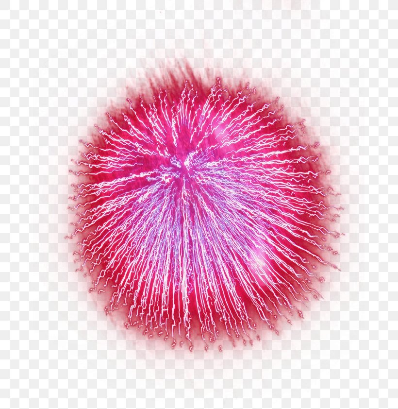 Light Fireworks, PNG, 683x842px, Light, Art, Close Up, Color, Fireworks Download Free