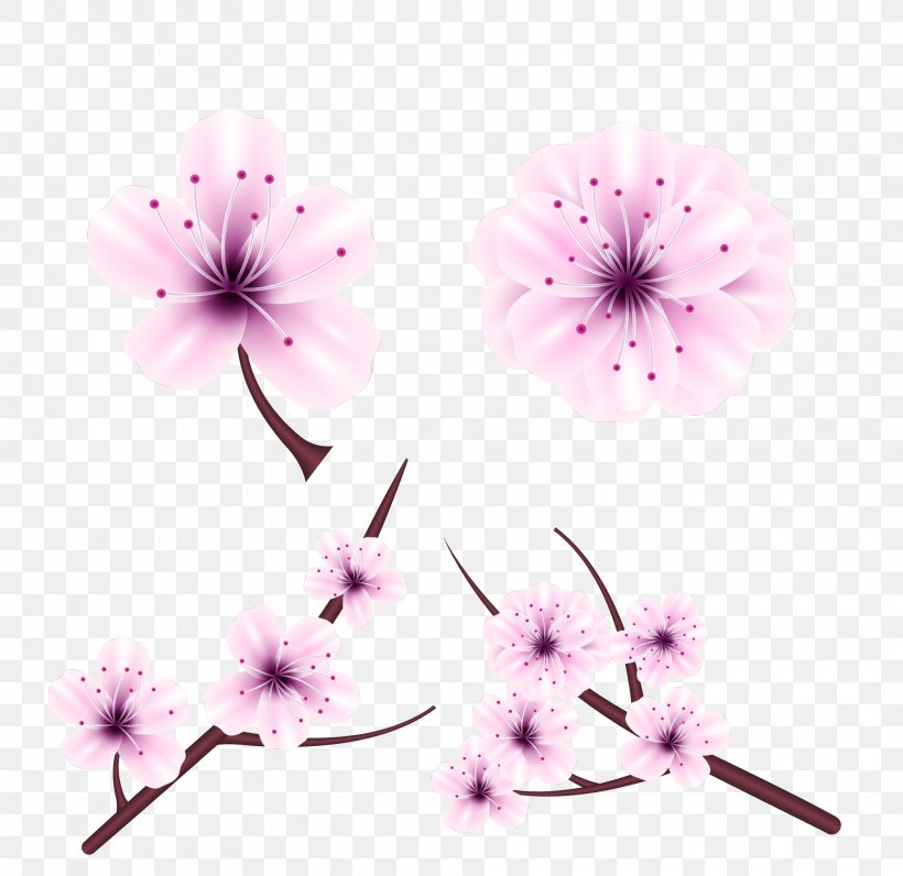 National Cherry Blossom Festival Flower Euclidean Vector, PNG, 1965x1909px, National Cherry Blossom Festival, Blossom, Cerasus, Cherry, Cherry Blossom Download Free
