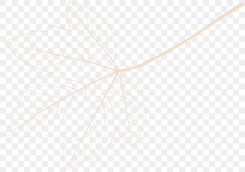 Drawing Symmetry Line /m/02csf Pattern, PNG, 1590x1118px, Drawing, Branch, Flowering Plant, Leaf, Plant Download Free