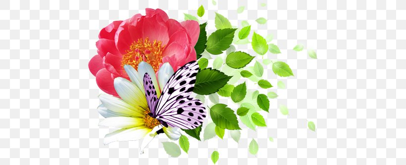 Leaf, PNG, 464x334px, Leaf, Arthropod, Butterfly, Digital Image, Flower Download Free