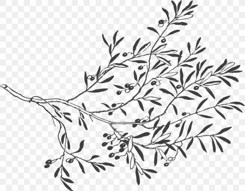 Olive Branch Drawing Clip Art, PNG, 920x720px, Olive Branch, Area, Black And White, Branch, Drawing Download Free
