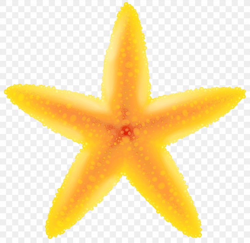 Yellow Plant Starfruit Fruit Starfish, PNG, 3000x2923px, Watercolor, Fruit, Marine Invertebrates, Paint, Plant Download Free