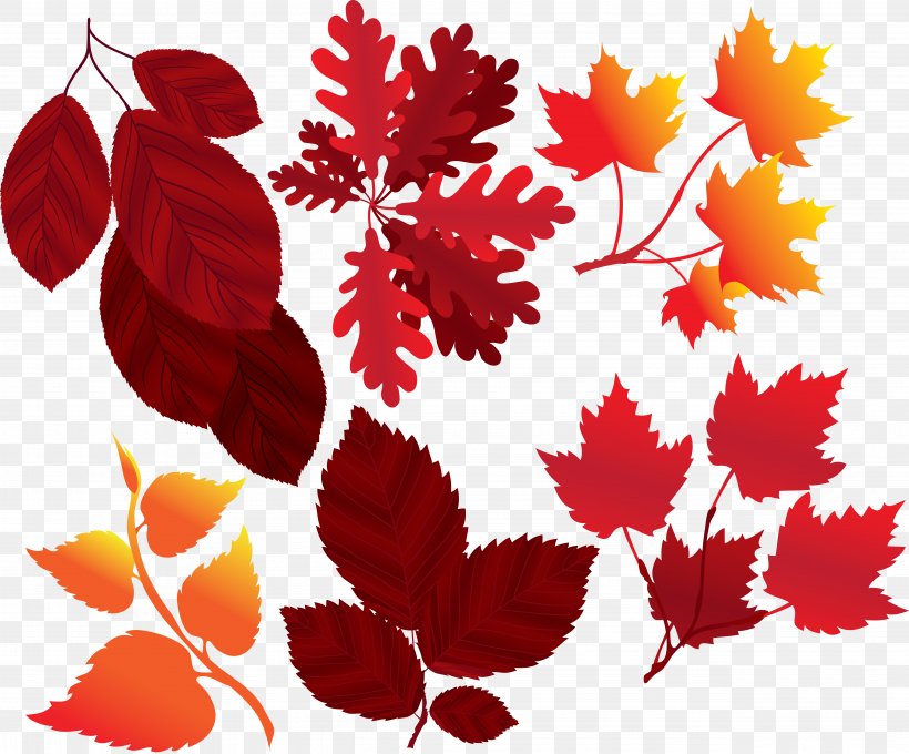 Autumn Leaf Color, PNG, 5104x4235px, Autumn Leaf Color, Autumn, Birch, Branch, Color Download Free
