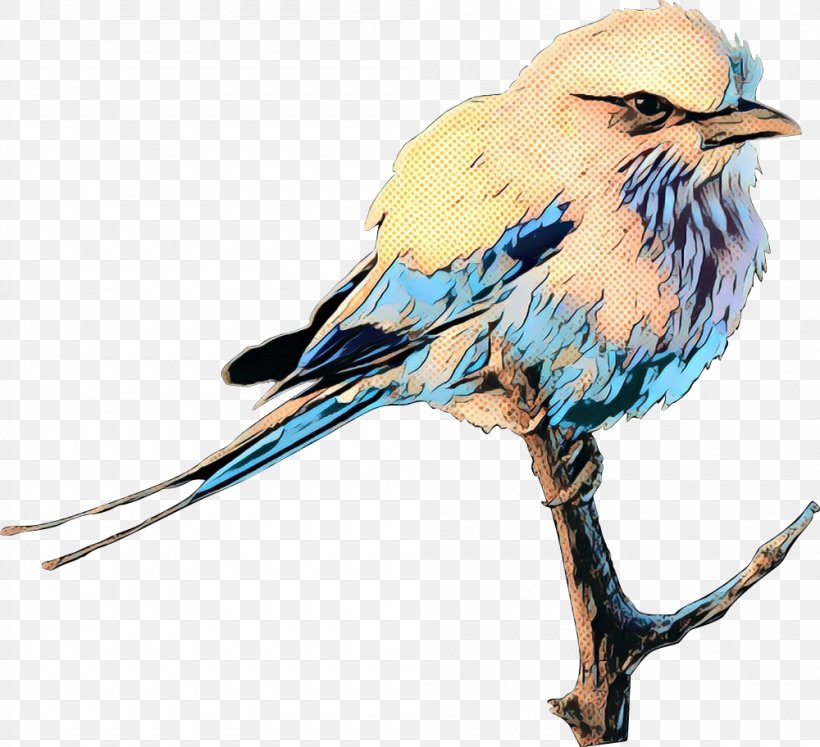 Bird European Roller Lilac-breasted Roller Clip Art, PNG, 1000x912px, Bird, Beak, Birdcage, Birdwatching, Bluebirds Download Free