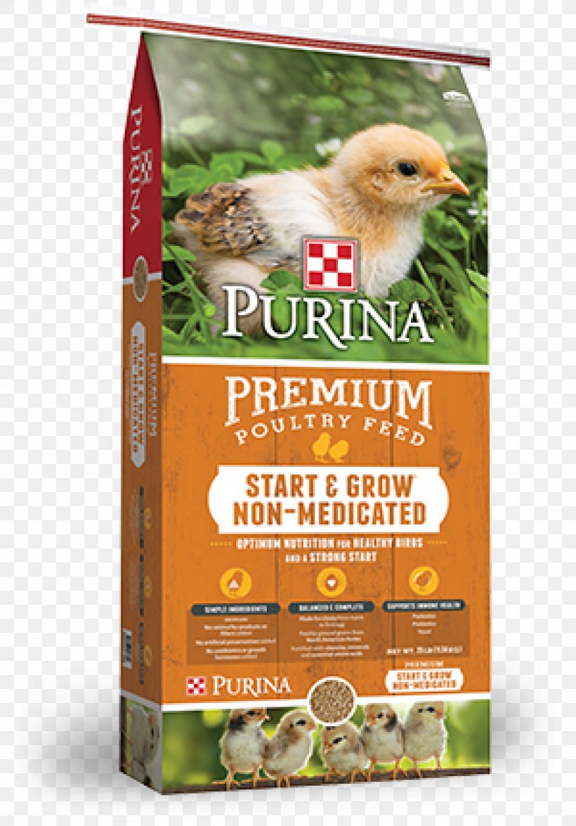 Chicken Poultry Feed Duck Nutrition, PNG, 900x1290px, Chicken, Advertising, Bird Food, Cereal, Chicken As Food Download Free