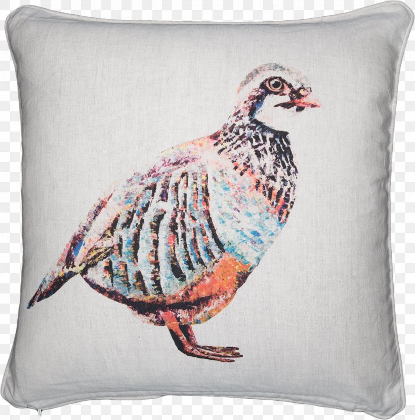 Cushion Bone China Mug Throw Pillows, PNG, 1177x1192px, Cushion, Beak, Bone, Bone China, Color Download Free