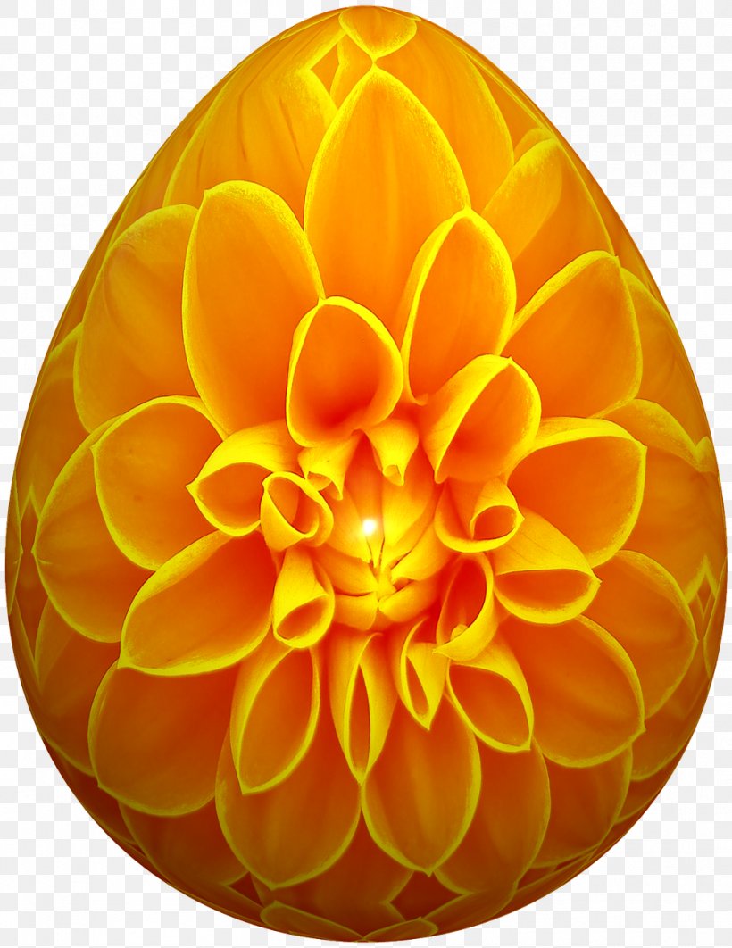 Flower Thermoplastic Polyurethane Silicone, PNG, 988x1280px, Flower, Dahlia, Easter, Easter Egg, Orange Download Free