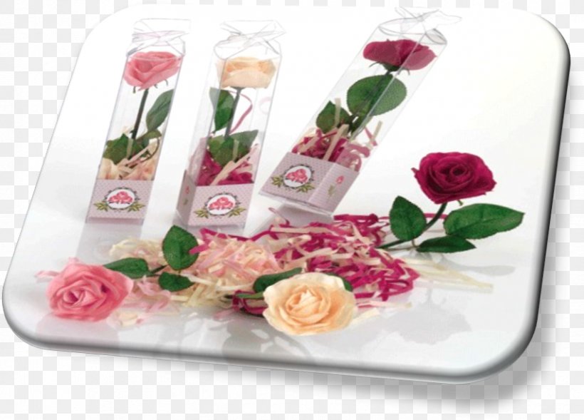 Garden Roses Cut Flowers Floral Design, PNG, 854x614px, Garden Roses, Artificial Flower, Cut Flowers, Floral Design, Flower Download Free
