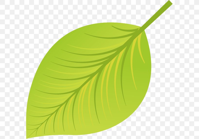 Green Leaf Euclidean Vector, PNG, 605x573px, Green, Color, Leaf, Material, Plant Download Free