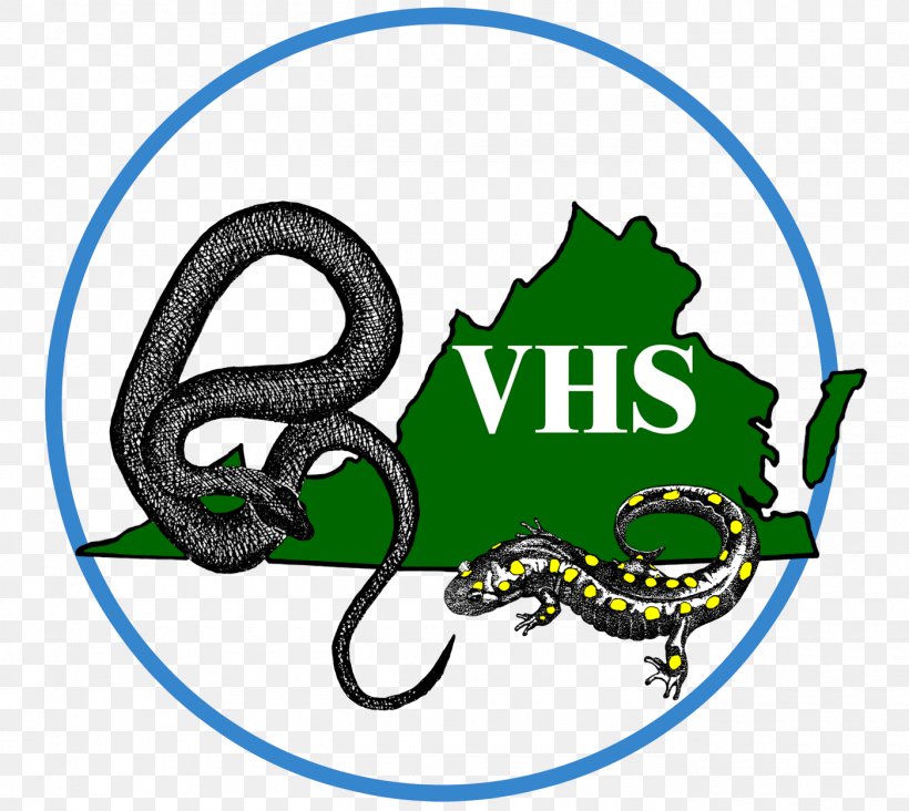 Snake Virginia Herpetological Society Herpetology Reptile, PNG, 1400x1250px, Snake, Amphibian, Area, Artwork, Brand Download Free