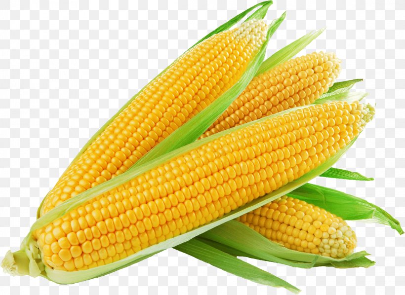 Corn On The Cob Sweet Corn Maize Baked Potato 1st Choice Fruit & Veg, PNG, 2316x1691px, Corn On The Cob, Baby Corn, Baked Potato, Commodity, Cooking Download Free