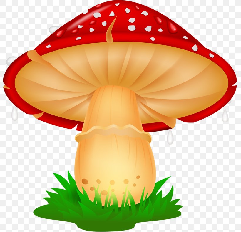 Frog Mushroom Clip Art, PNG, 800x788px, Frog, Depositphotos, Edible Mushroom, Food, Fungus Download Free