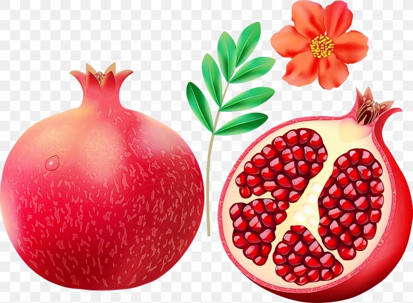 Natural Foods Pomegranate Fruit Accessory Fruit Superfruit, PNG, 2999x2205px, Watercolor, Accessory Fruit, Berry, Food, Fruit Download Free
