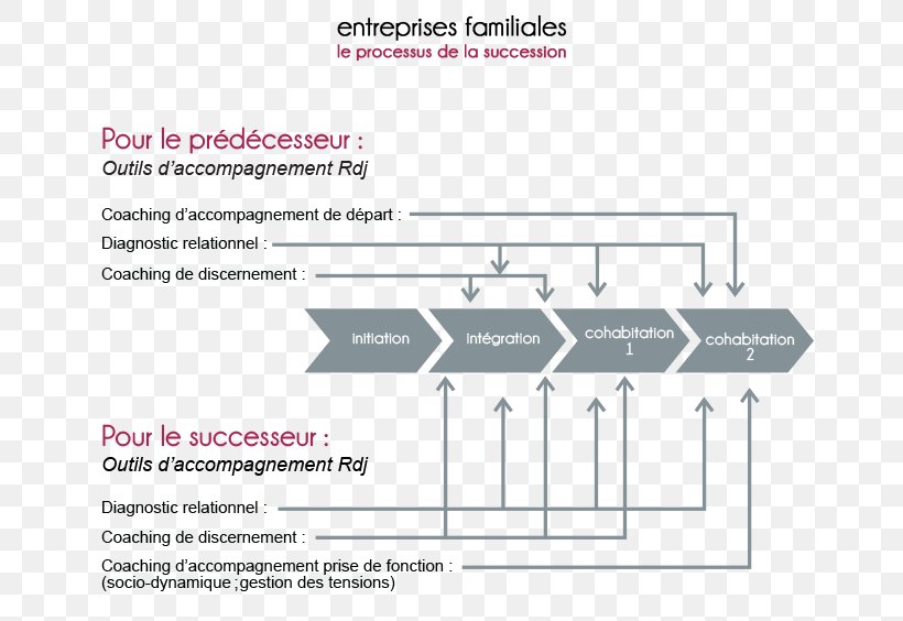 Organization Family Business Processus Management Inheritance Law, PNG, 676x564px, Organization, Area, Brand, Business, Coaching Download Free