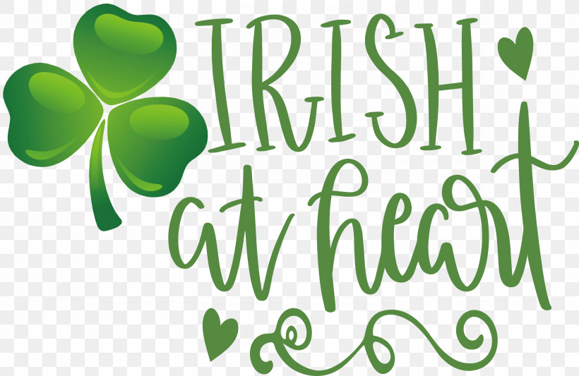 Shamrock Irish Saint Patrick, PNG, 3000x1952px, Shamrock, Biology, Fruit, Green, Irish Download Free