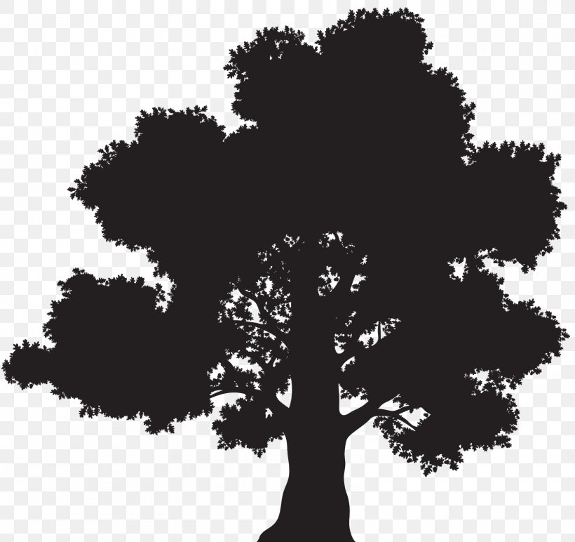 Vector Graphics Oak Royalty-free Stock Photography Illustration, PNG, 1600x1507px, Oak, Art, Blackandwhite, Branch, Crown Download Free