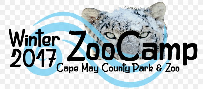 Cape May County Park & Zoo Cat Durrell Wildlife Park ZooTampa At Lowry Park, PNG, 1500x659px, Watercolor, Cartoon, Flower, Frame, Heart Download Free