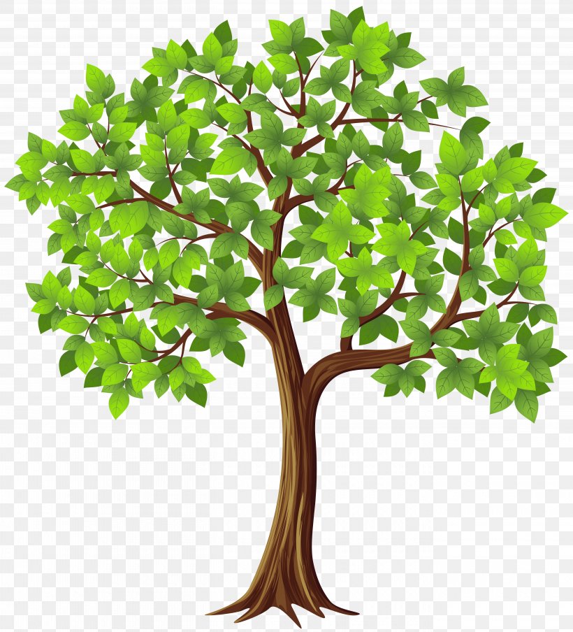 Tree Clip Art, PNG, 5440x6000px, Tree, Art, Birch, Branch, Color Download Free