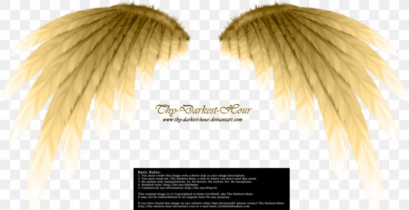 Angel Desktop Wallpaper Raster Graphics Editor, PNG, 1600x822px, Angel, Demon, Digital Media, Fictional Character, Hair Coloring Download Free