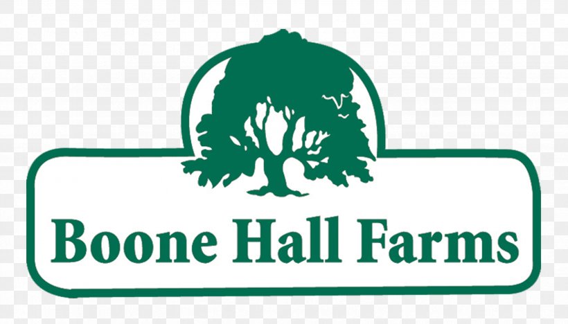 Boone Hall Farms Market Logo Charleston, PNG, 3329x1900px, Boone Hall, Agribusiness, Area, Brand, Charleston Download Free