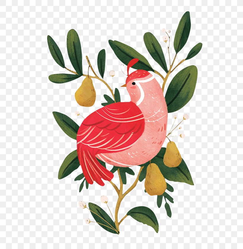 Chicken Illustration Design Image, PNG, 600x840px, Chicken, Art, Asian Pear, Beak, Bird Download Free