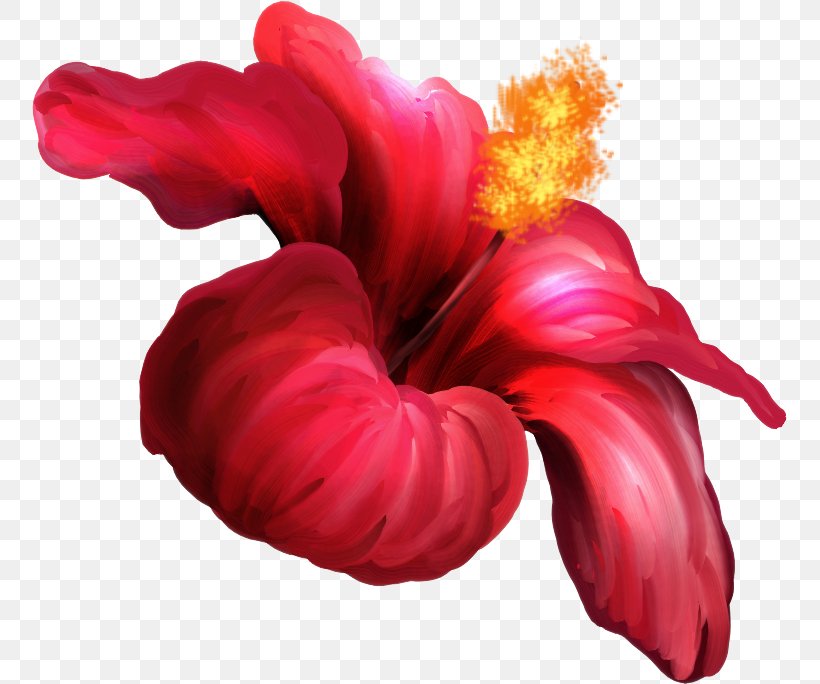 Flower Hibiscus Petal Clip Art, PNG, 755x684px, Flower, Cut Flowers, Drawing, Flowering Plant, Herbaceous Plant Download Free