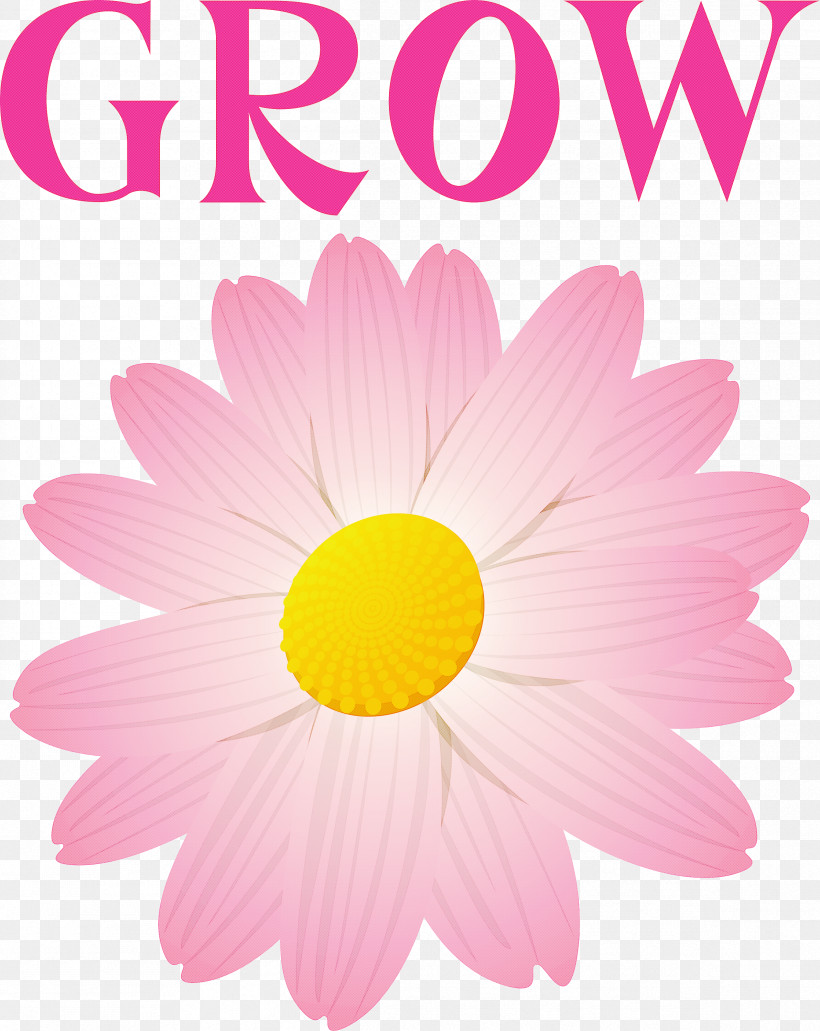 GROW Flower, PNG, 2384x3000px, Grow, Chrysanthemum, Flower, Garden, Landscape Download Free