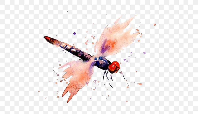 Watercolor Painting Dragonfly, PNG, 600x474px, Painting, Animal, Cartoon, Dragonfly, Finger Download Free