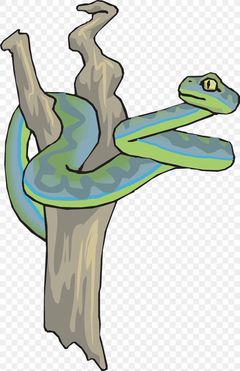 Brown Tree Snake Clip Art, PNG, 828x1280px, Snake, Amphibian, Art, Branch, Brown Tree Snake Download Free